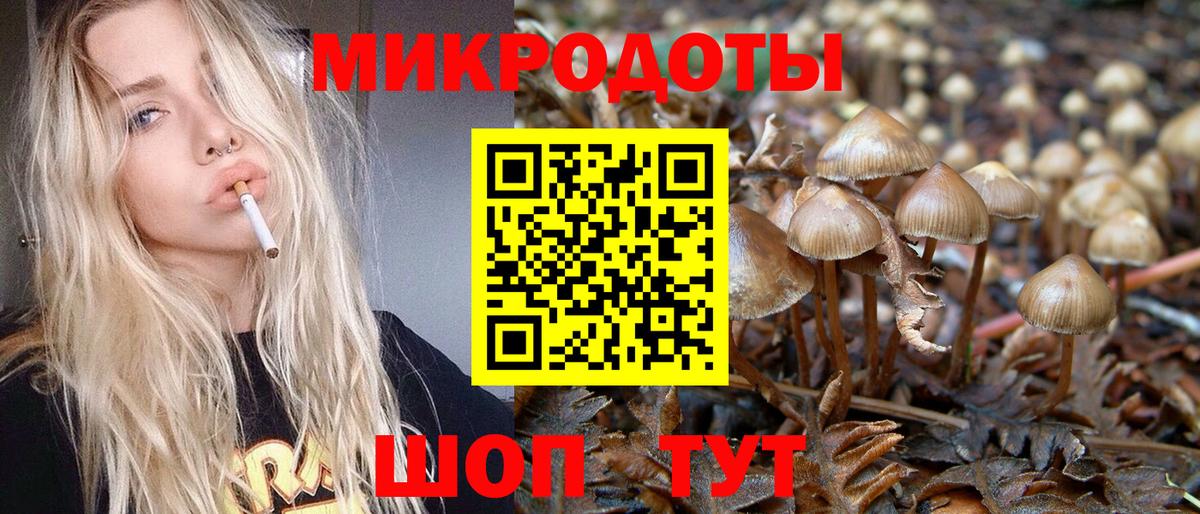 Галлюциногенные грибы мицелий  Вход с VPN  Псилоцибиновые грибы Psilocybe  Астрахань 